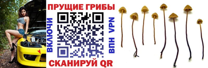 Галлюциногенные грибы ЛСД  наркота  Фёдоровский 